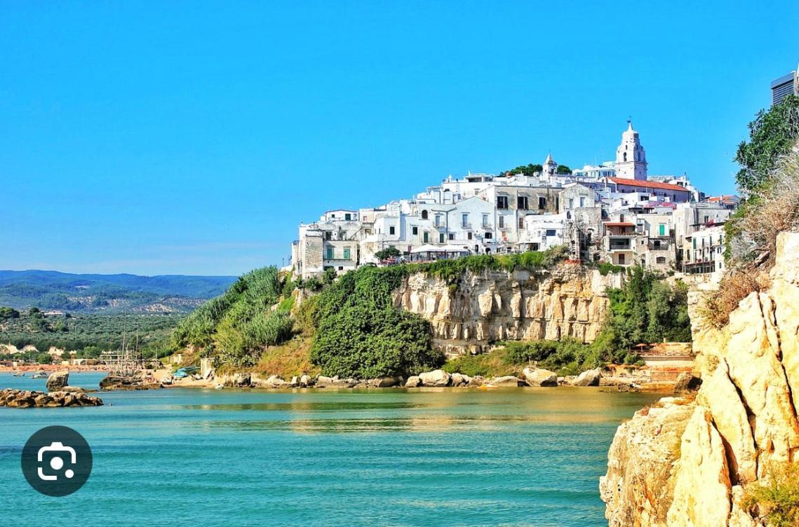 B&B Tra Le Vie Del Borgo Vieste Dış mekan fotoğraf